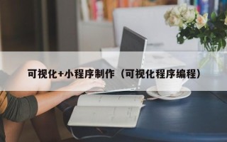 澧县可视化+小程序制作（可视化程序编程）